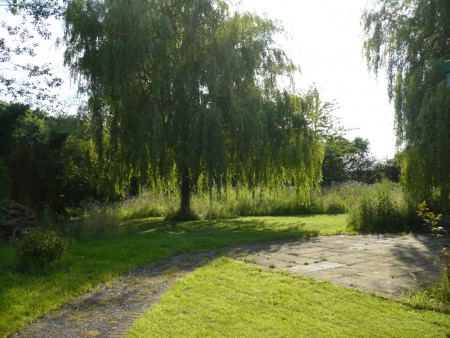 Side Garden towards Orchard